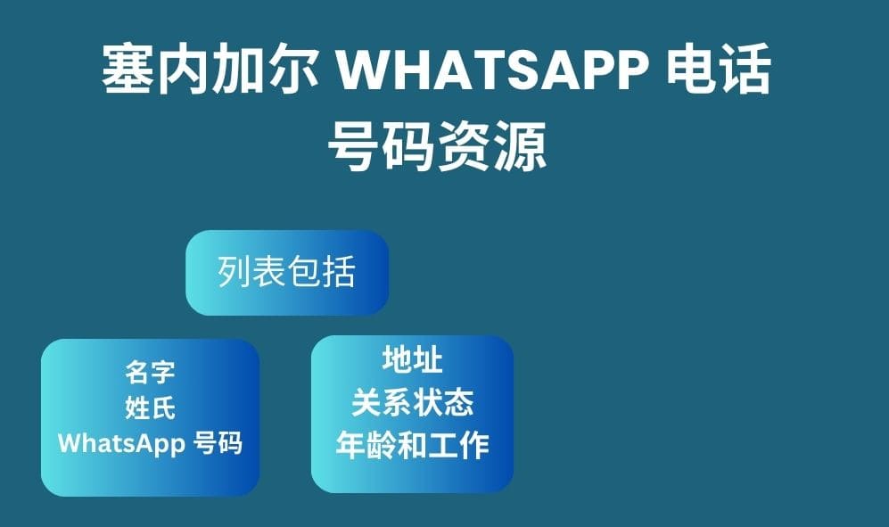 塞内加尔 whatsapp 电话号码资源