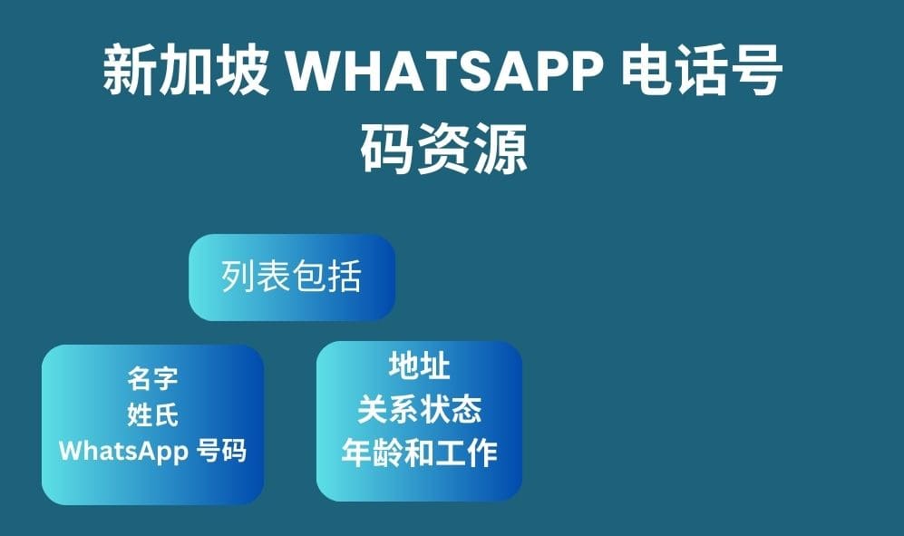 新加坡 whatsapp 电话号码资源